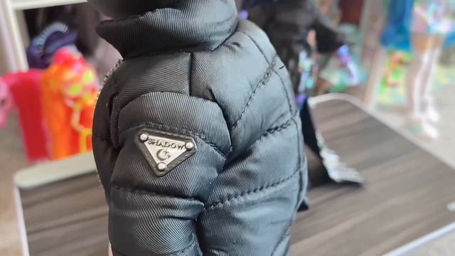 “Glitch” Reina Crowne & Rexx McQueen Dolls From Shadow High Series 2 — Unboxing and Review!! смотреть онлайн