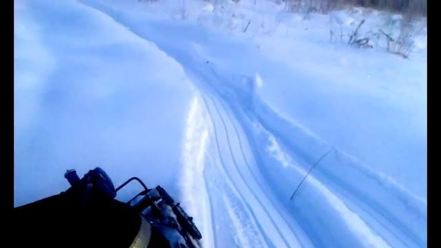 мотособака Мухтар 7 смотреть онлайн
