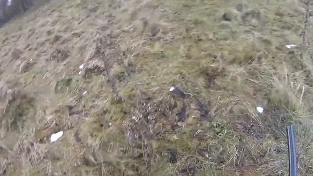 Двустволка ИЖ-43(МР-43) Cтрельба и выводы. смотреть онлайн