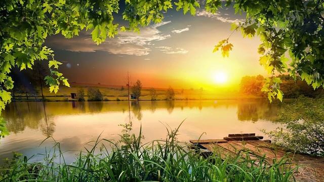 Самая Лучшая Музыка Для Снятия Усталости! Можно слушать Бесконечно! Цветы красиво под музыку #61