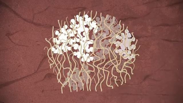 Bionic Heart Patch смотреть онлайн