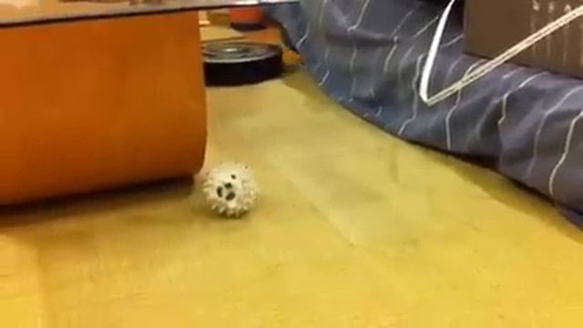 新☆ルンバ Roomba 780 смотреть онлайн