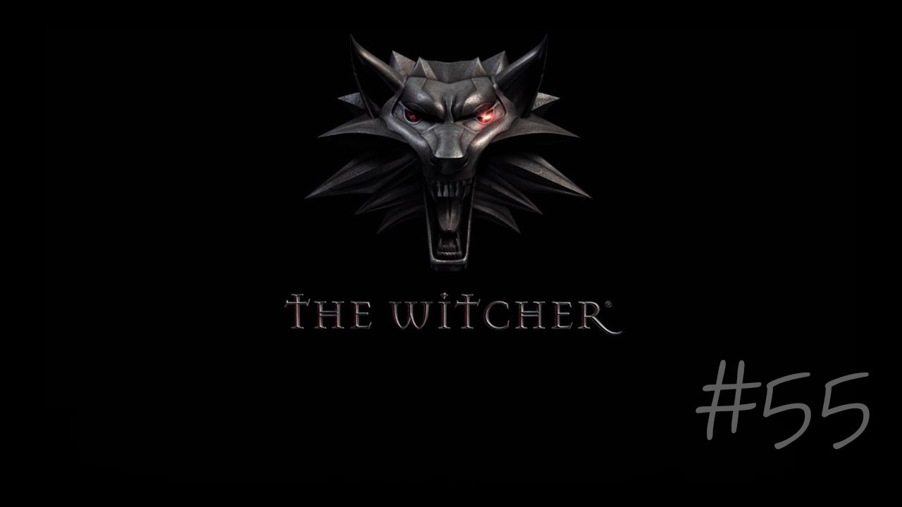 The Witcher #55