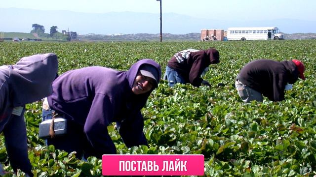 Доступные ответы на любые вопросы