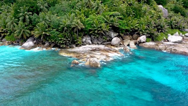 Звуки природы.Шум волн.Пение птиц.Спокойная атмосфера для сна и отдыха. смотреть онлайн