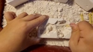 Раскопки динозавра рекса: юный палеантолог