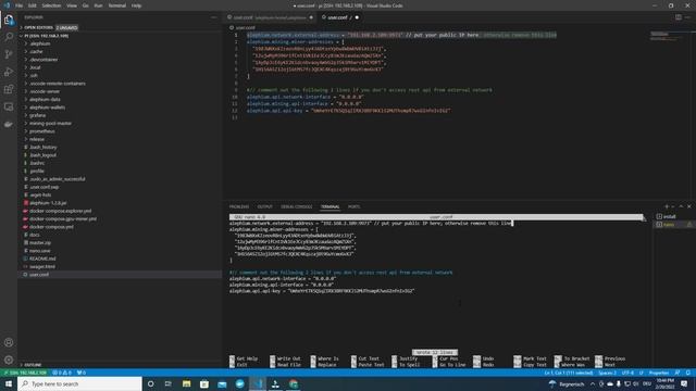 Full alephium node dockerized and monitored with grafana and portainer on a raspberry pi 4 смотреть онлайн