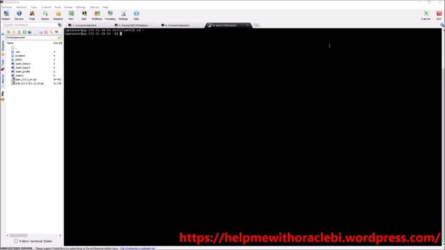 Install Oracle APEX on AWS EC2 Instance смотреть онлайн