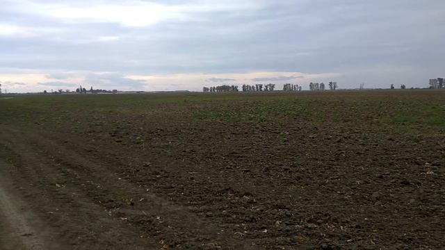 VID 20191001 111809 смотреть онлайн