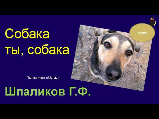 Жизнь собачья. Шпаликов Геннадий. смотреть онлайн