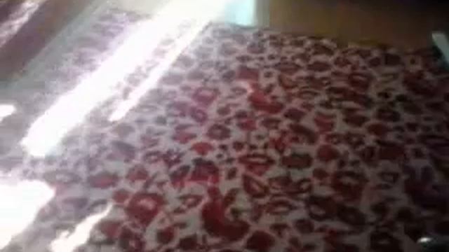 Мой кот №1 смотреть онлайн