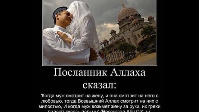 Прости меня Сабина.wmv смотреть онлайн