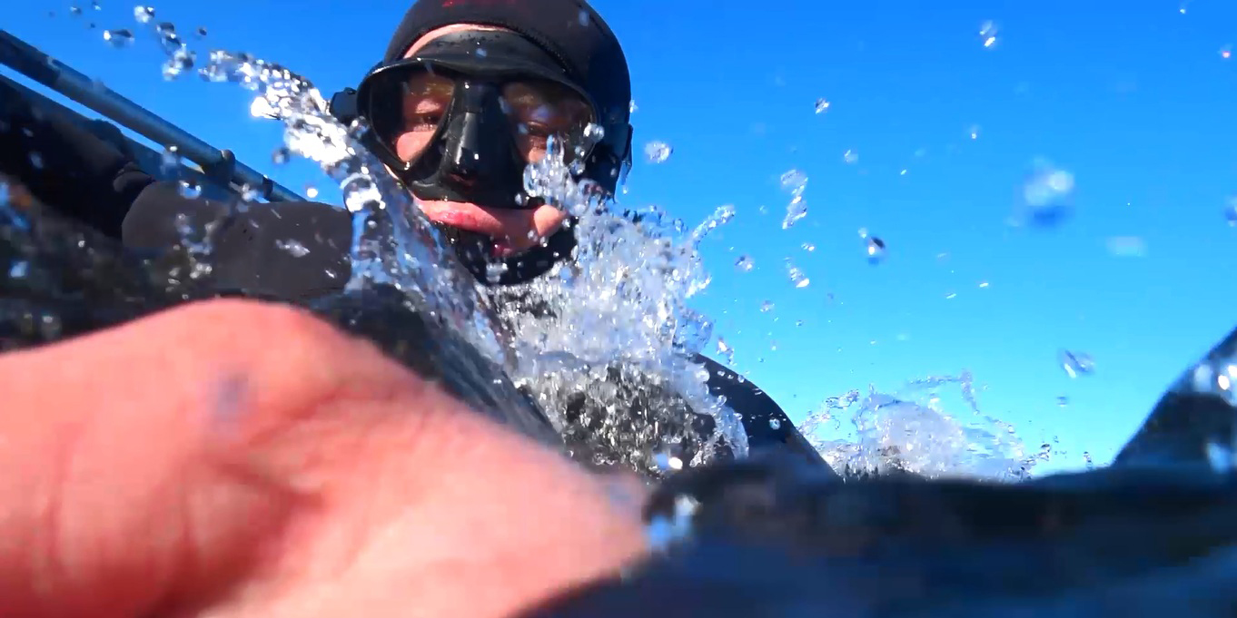 ТОЛСТОЛОБИКИ!!! ОХОТА НА ПРОСВЕТ!!! смотреть онлайн