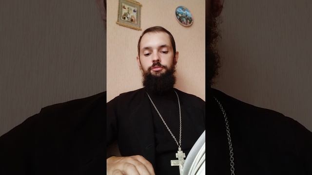 Пробуждение от греховного сна (по свт. Феофану Затворнику) смотреть онлайн