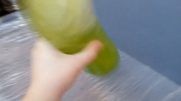 Хлорелла (Chlorella vulgaris)