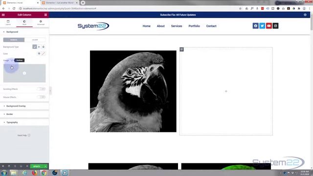 Elementor 2 Simple Image Hover Effects With No Coding ? смотреть онлайн