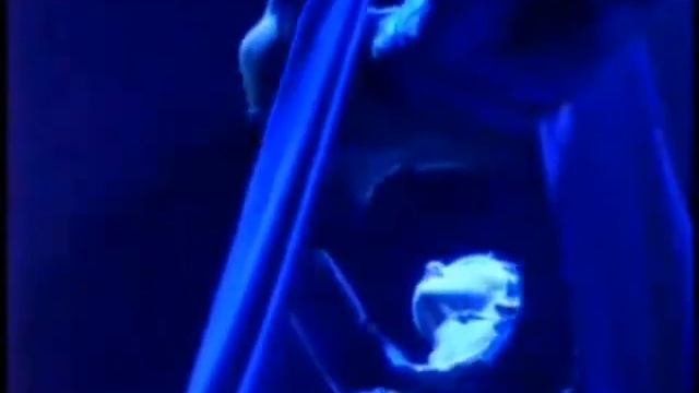 Cirque Du Soleil - from Polina Shtroma смотреть онлайн