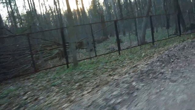 C собакой на самокате. Дог-скутеринг с Борусом смотреть онлайн