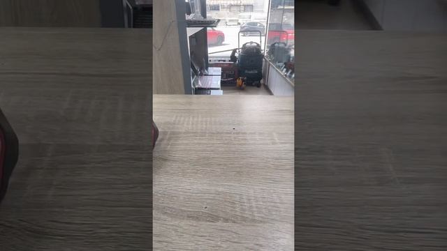 17 июля 2022 г. смотреть онлайн