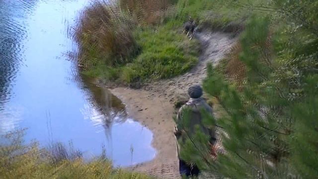 Осенний пейзаж 1 - Осенней грусти пробужденье смотреть онлайн