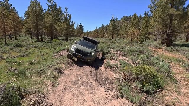 STUCK WHILE SOLO and how I SURVIVED!!! (Plus Microwaved Meals powered by Eco Flow) смотреть онлайн
