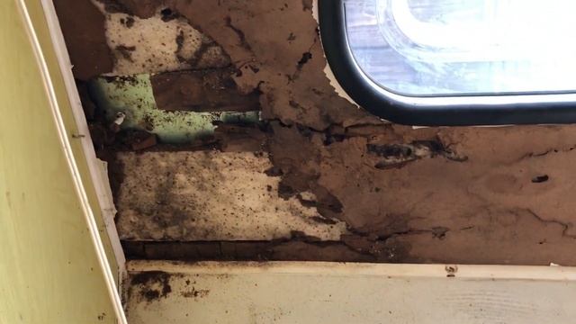 Строим дом на колёсах/ремонт и уборка в кемпере смотреть онлайн