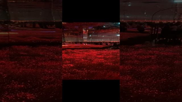 IMG_3991 смотреть онлайн