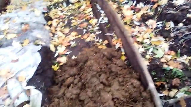 Подготовка червя к зиме Ч.1 смотреть онлайн