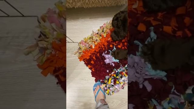 Нюхательный коврик в действии смотреть онлайн
