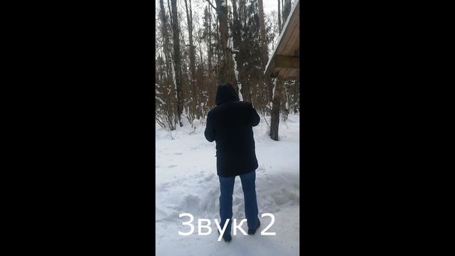 выбор манка на селезня кряквы по звуку, голосование смотреть онлайн