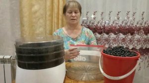 Арония рябина черноплодная  Заготовка на зиму