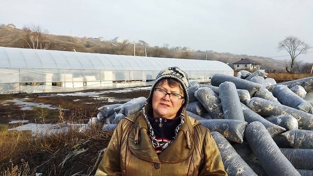 Основное внесение удобрений для ежевики и малины. Пригород Воронежа смотреть онлайн