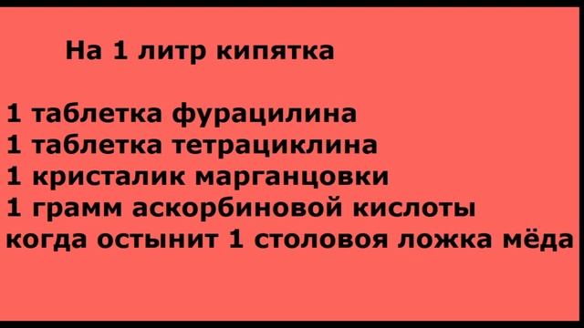 Гусята. Особенности содержания и кормления смотреть онлайн