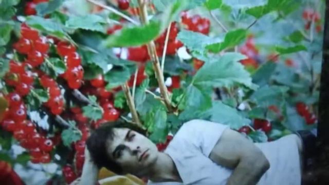 Калина красная смотреть онлайн