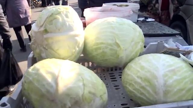 "Попробуй. Купи". Капуста смотреть онлайн