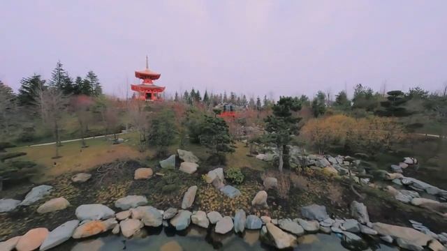 Видео японского сада с дрона в парке Галицкого в Краснодаре. смотреть онлайн