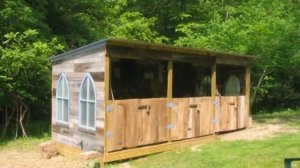 ДОМАШНИЕ животные ЧЕЙ ДОМИК Для самых маленьких