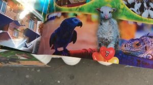 Экскурсии в Геленджике | Геленджик экскурсии цены | Дольмены, Водопады, Крым, Абхазия, Сочи