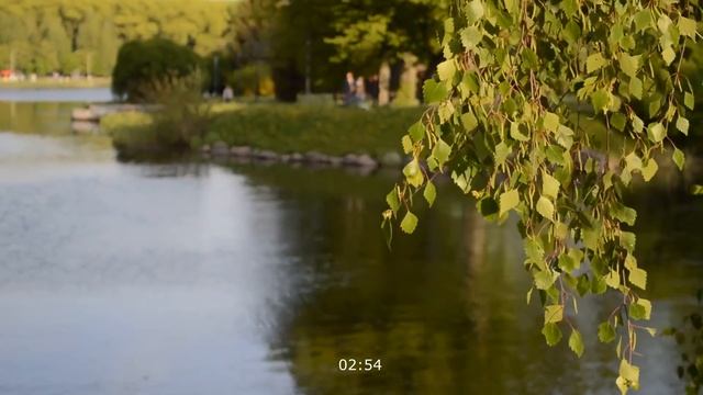 ДЕВУШКА ПОКАЗАЛА, ЧТО ВЕРНЫХ НЕ БЫВАЕТ. Интересные истории из жизни. Жизненные истории смотреть онлайн