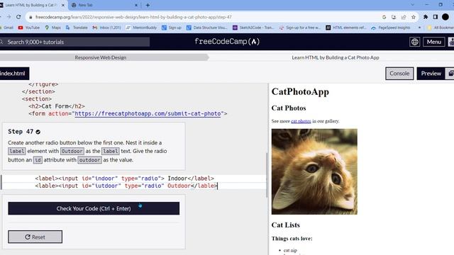Learn HTML by Building a Cat Photo App Step - 47 || freeCodeCamp смотреть онлайн