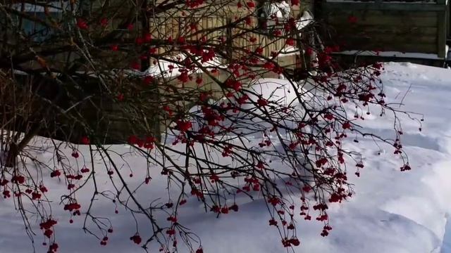 Баланнар.Наиля Авхадиева жырлый. смотреть онлайн