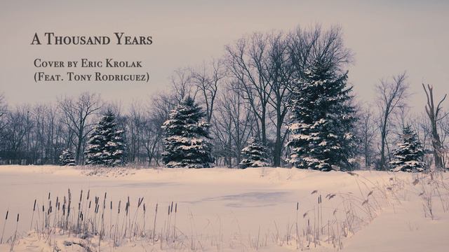 Christina Perri - A Thousand Years - Eric Krolak cover (Feat. Tony Rodriguez) смотреть онлайн