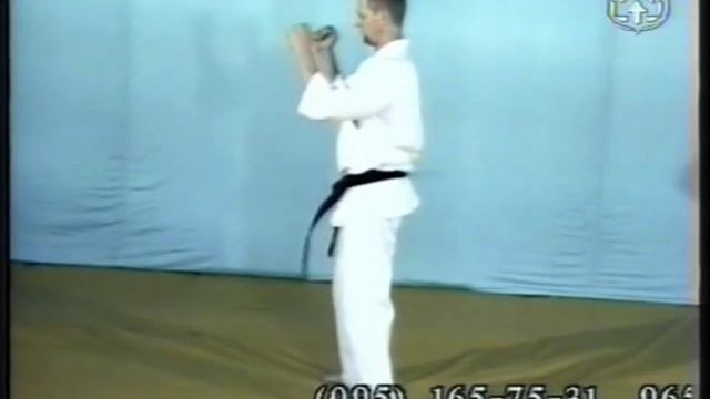 Техника КИОКУШИНКАЙ 2 часть 8 смотреть онлайн