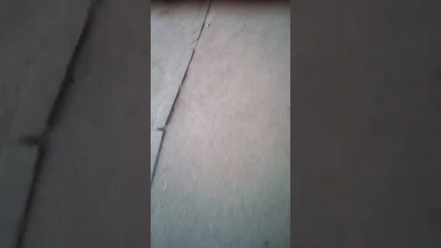 Влог как я иду магазин смотреть онлайн