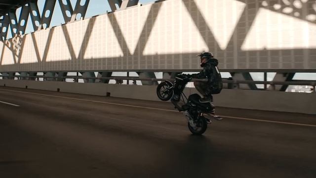 FZM / One Night Ride