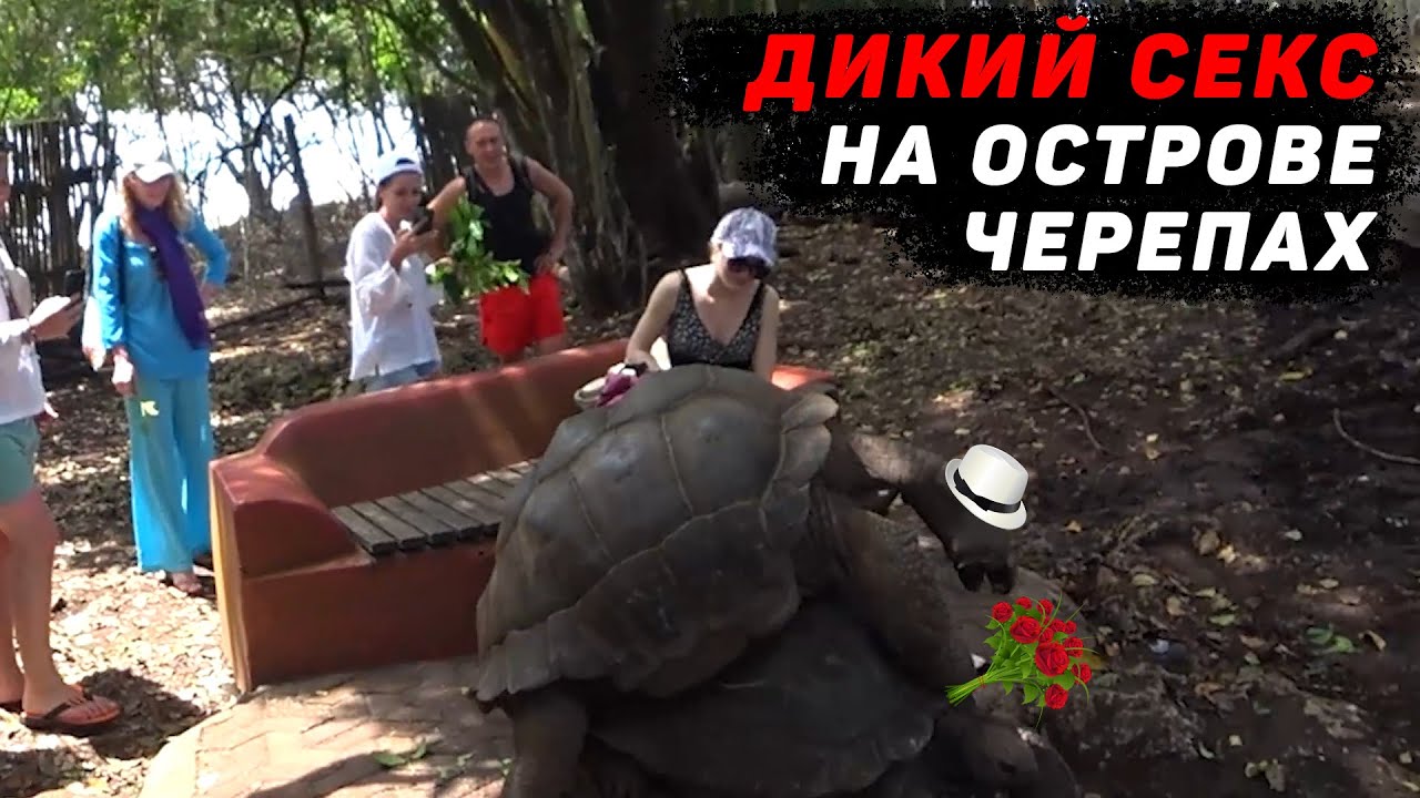 Поездка на остров Призон. Занзибар 2021 смотреть онлайн