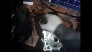 Устройство масляного насоса Таврия,Славута,Сенс