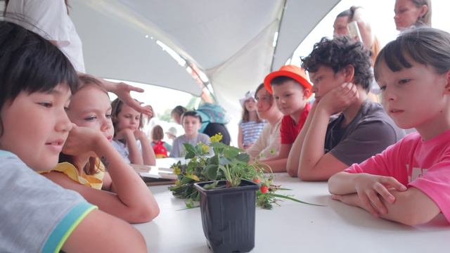 Семейный пикник «Каникулы со смыслом» смотреть онлайн