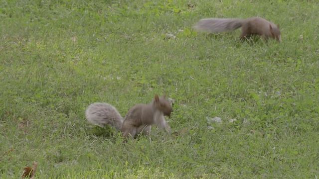 뉴욕 일상 브이로그 / 빈티지 요리책 서점, 프랑스어 공부하는 법, 일본생활 흑역사 에피소드, 초간단 토마토 요리, 카페, 센트럴파크, 브로드웨이 뮤지컬, 미국 프리랜서 직장인 смотреть онлайн