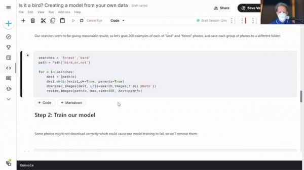 Lesson 1: Practical Deep Learning for Coders 2022